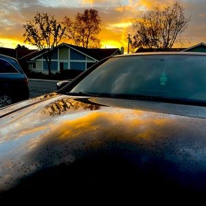 Meet your Posher, Squiddy